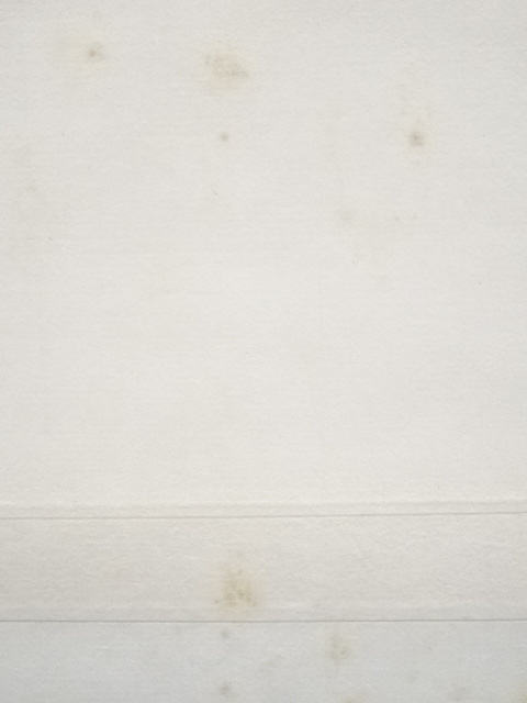 道具 ] - 道具 永田宗伴（的々斎）筆 「洗心」横物 肉筆紙本掛軸（共箱